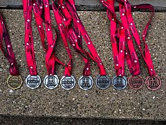 Draconis Brazilian Jiu Jitsu und Luta Livre - Schaffhausen