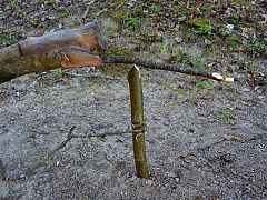 Survival Schaffhausen Fallenbau